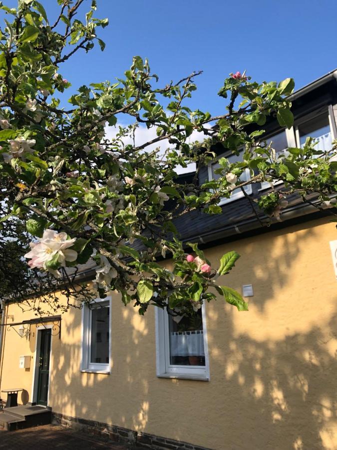 Am Apfelbaum, Ein Ferienhaus Zwischen Rhein Und Mosel Kastellaun Ngoại thất bức ảnh