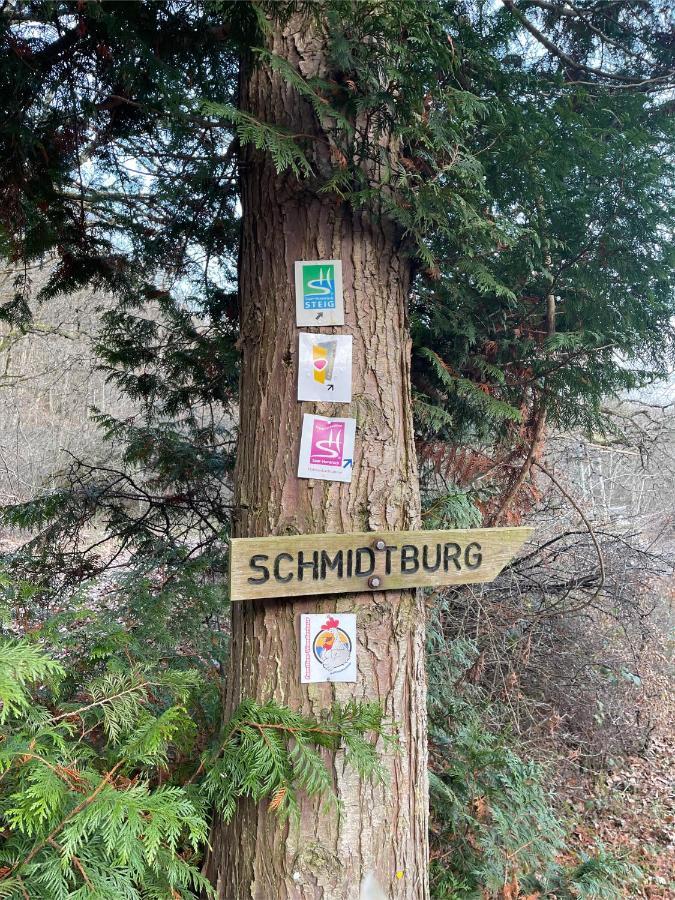 Am Apfelbaum, Ein Ferienhaus Zwischen Rhein Und Mosel Kastellaun Ngoại thất bức ảnh