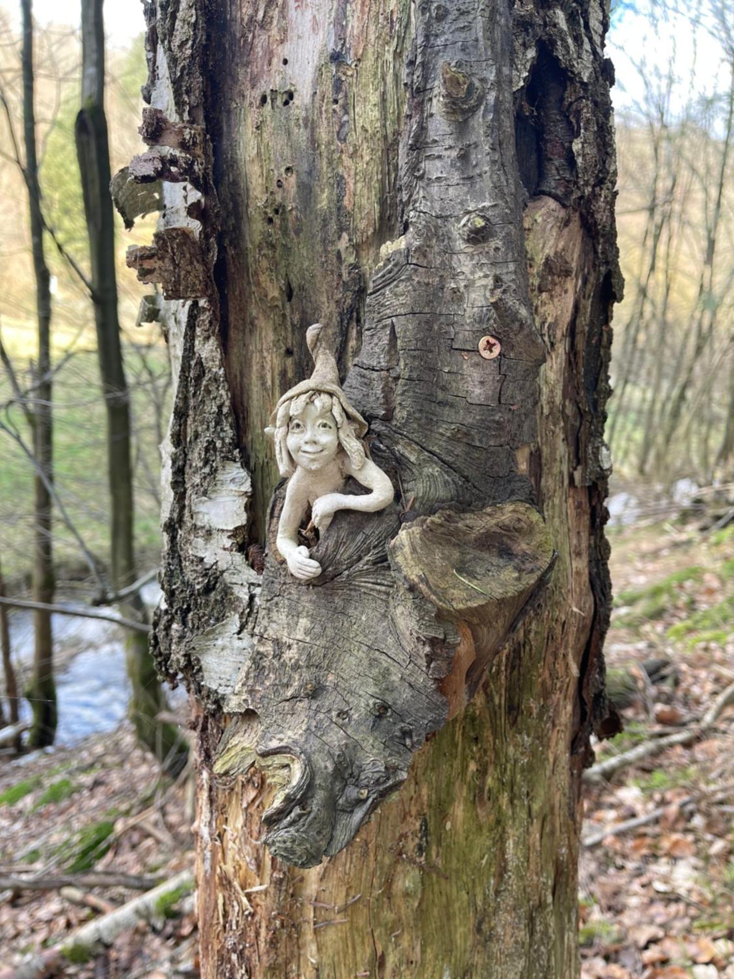 Am Apfelbaum, Ein Ferienhaus Zwischen Rhein Und Mosel Kastellaun Ngoại thất bức ảnh