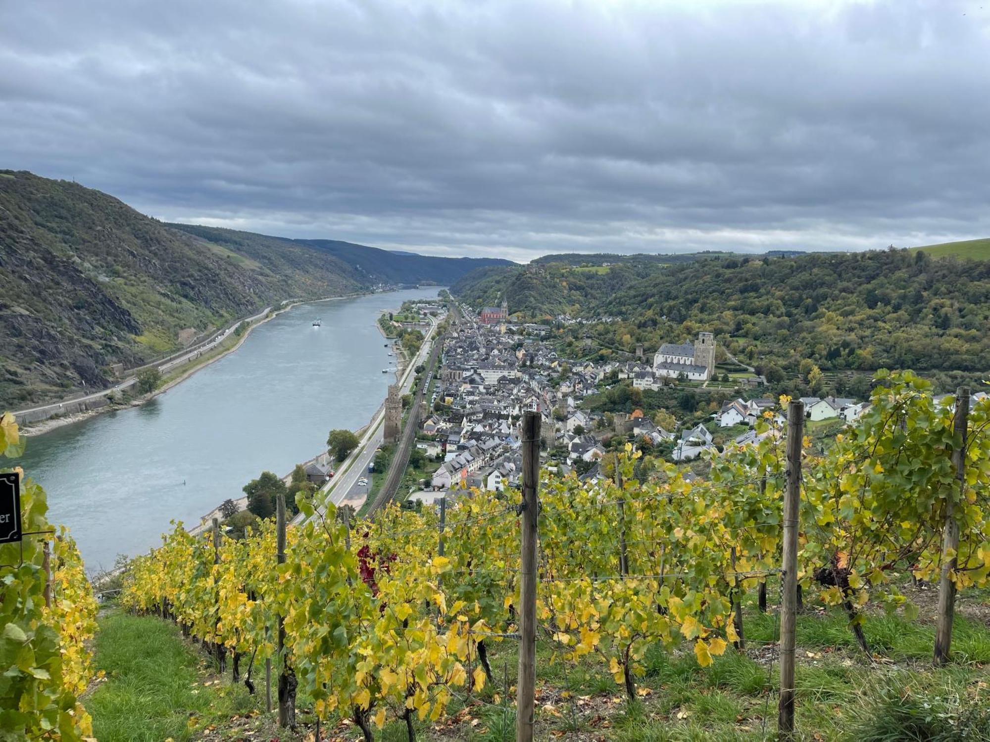 Am Apfelbaum, Ein Ferienhaus Zwischen Rhein Und Mosel Kastellaun Ngoại thất bức ảnh